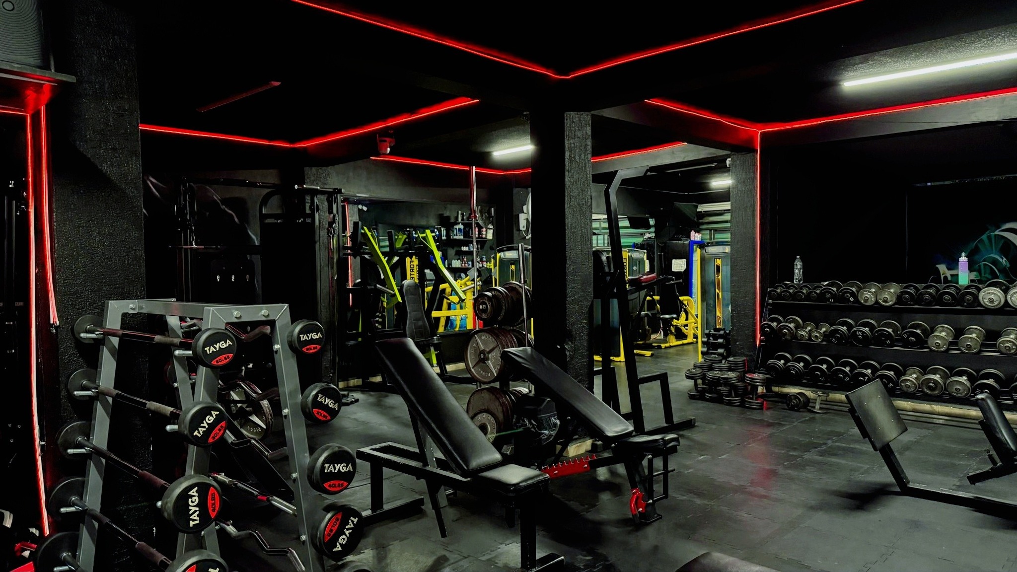 Zona de peso libre en FORTE GYM Atizapán