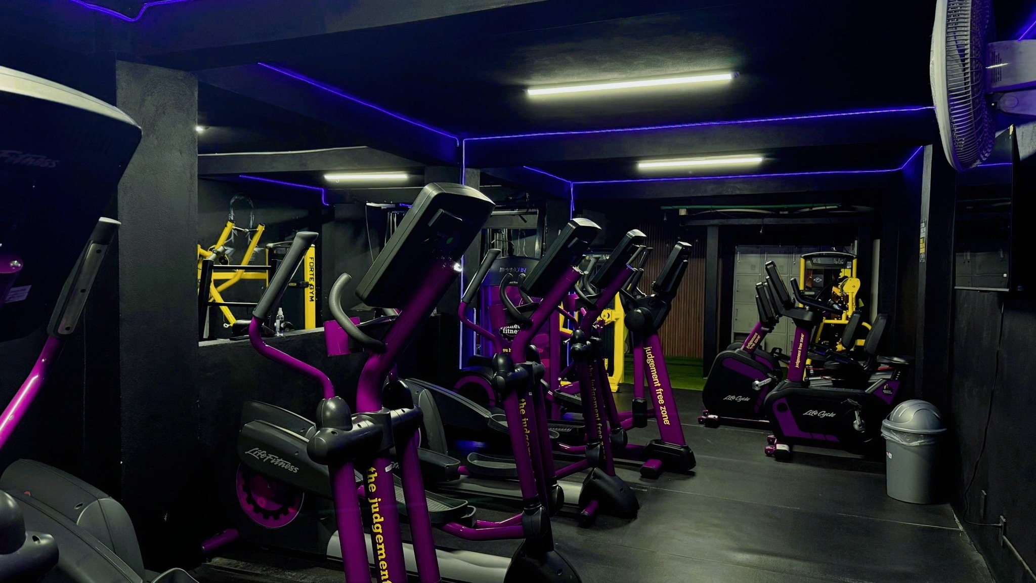 Zona de cardio en FORTE GYM Atizapán