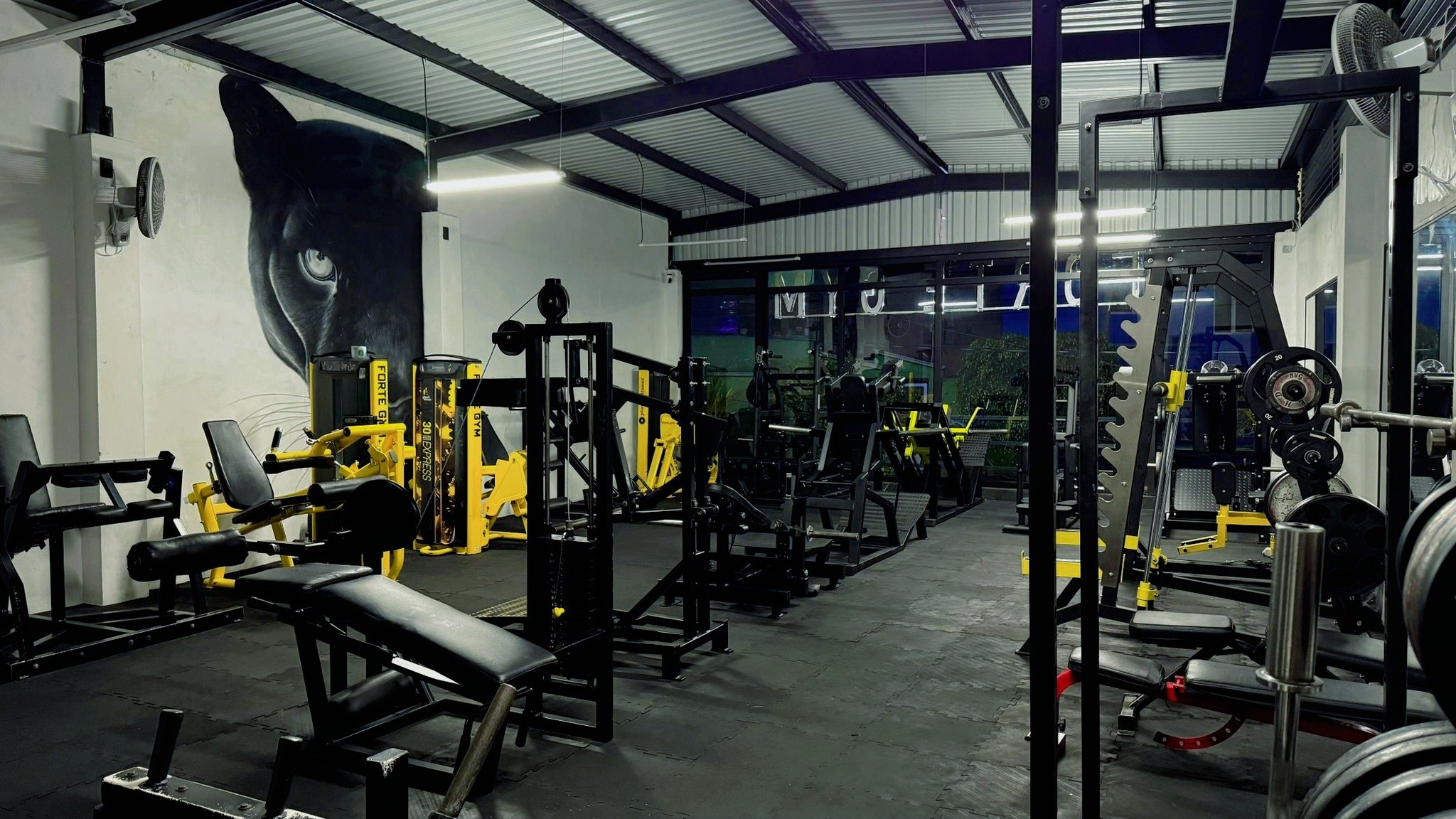 Área de entrenamiento de pierna en FORTE GYM Atizapán